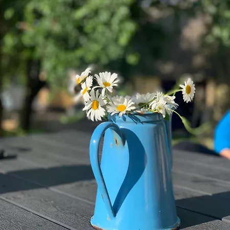 ラグジュアリーテント Glamping Mi Casa Tu Casadk Vissenbjerg