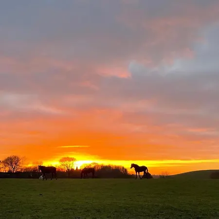 Glamping With Outdoor Wood-fired Hot Tub * Vissenbjerg