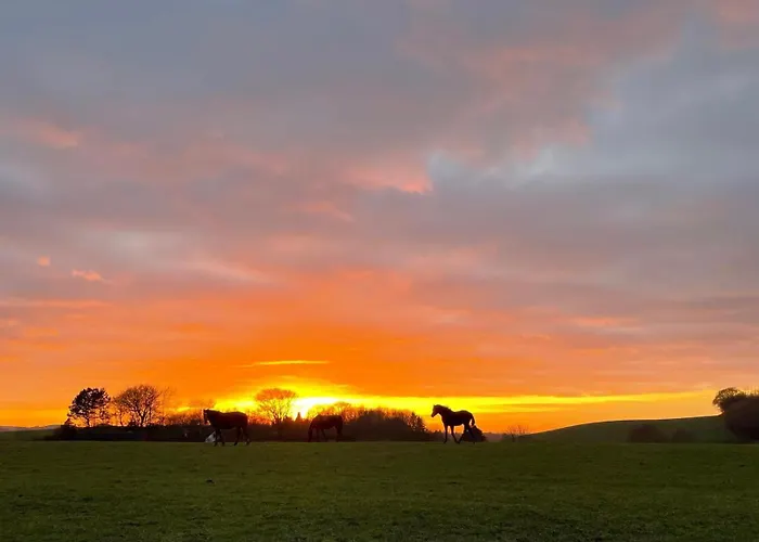 Glamping With Outdoor Wood-fired Hot Tub * Vissenbjerg
